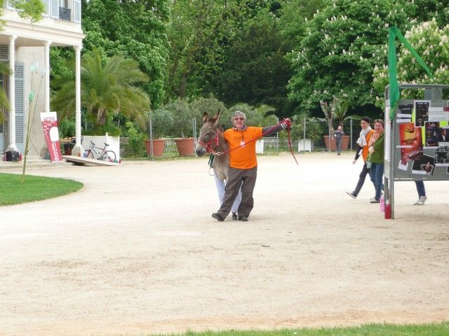 rodho 2013 (21).jpg